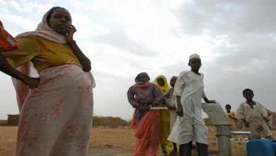 Women - Pregnant Women's