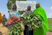 Displaced Sudanese Women
