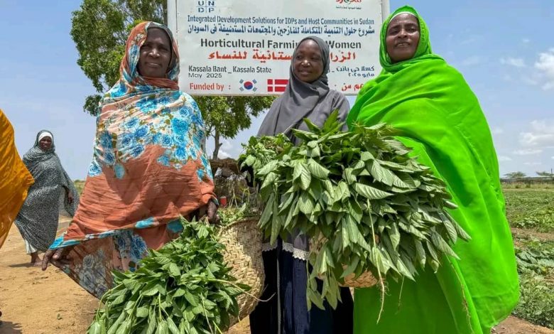 Displaced Sudanese Women