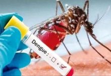The Dengue fever
