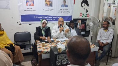 Seminar on El Fasher in Cairo - Khartoum Highlight