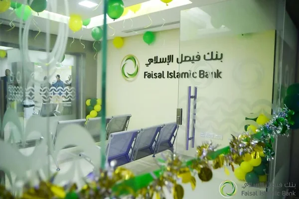 ينك فيصل - وكالات
